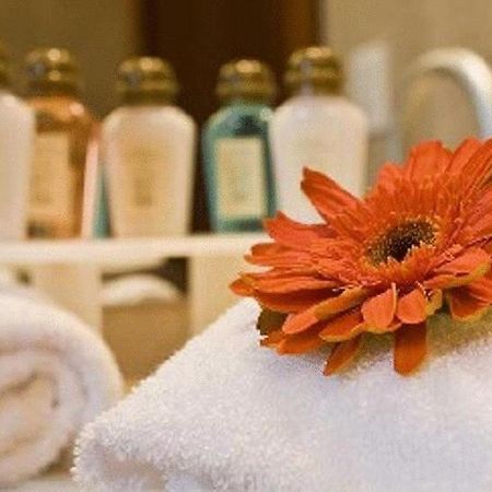 Hotel Stubel Suites & Cafe Quito Room photo